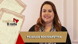 Explica Direito Filiação Socioafetiva  2019 [upl. by Earazed]