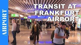 TRANSIT WALK AT FRANKFURT Airport FRA Terminal 1  Connection Flight Transfer Arriving amp Departing [upl. by Weissmann]